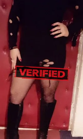 Veronica sex Prostitute Villa Pigna